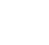 Kombucha Culture WorkShop
